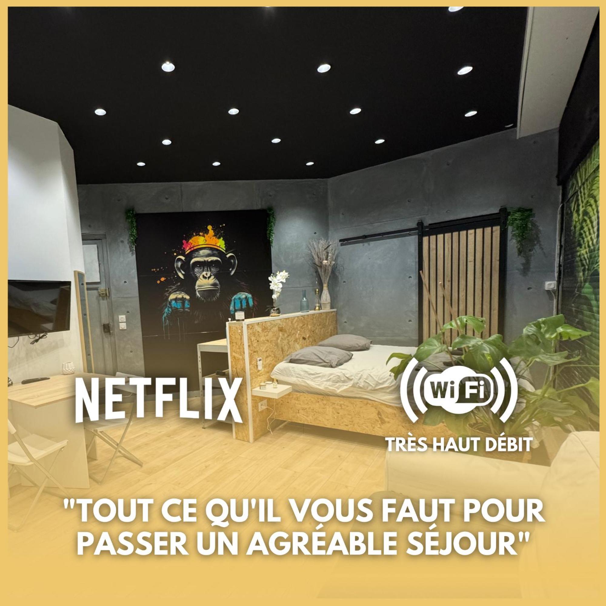 Jungle With Breakfast And Video Projector Apartment *